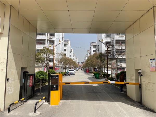 草莓短视频下载